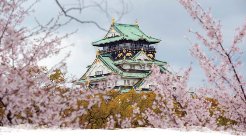 Immerse Yourself In Japan